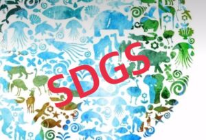 SDGs